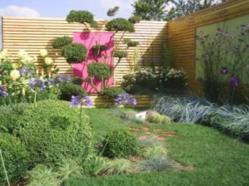 RHS Tatton
